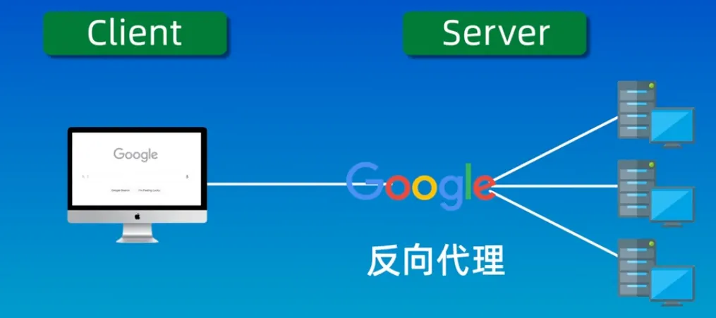 反向代理示意图